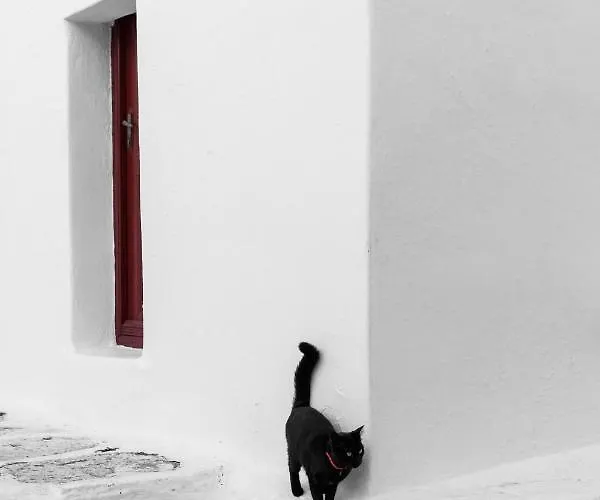 فندق Mykonos Gem Mykonos Town