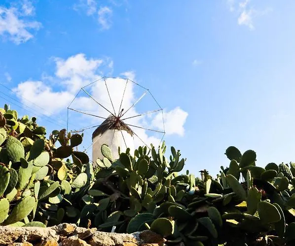 فندق Mykonos Gem Mykonos Town