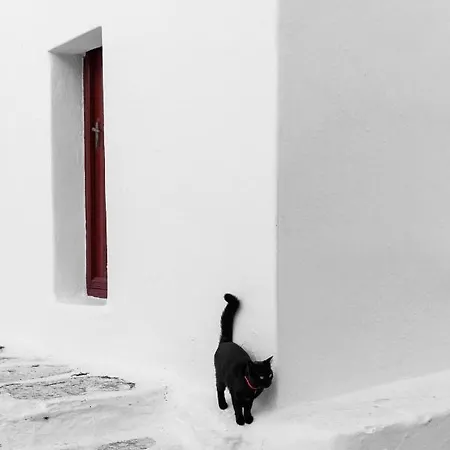 מלון Mykonos Gem Mykonos Town