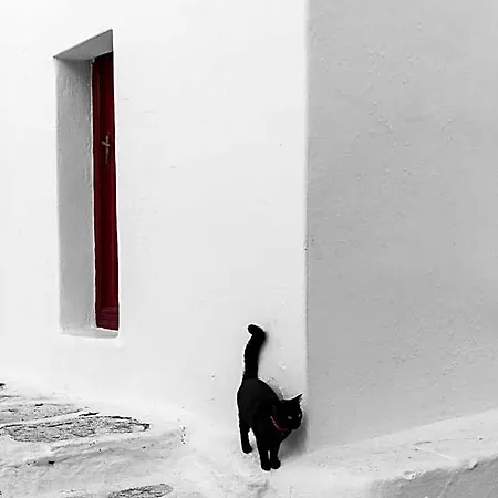 Mykonos Gem Mykonos Town